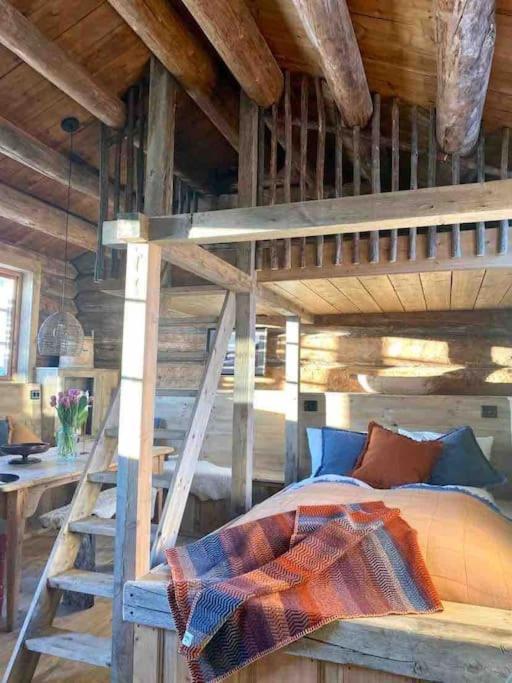 Sauefjoset - Idyllisk Gardstun Fra 1800-Tallet Skjåk Exterior foto